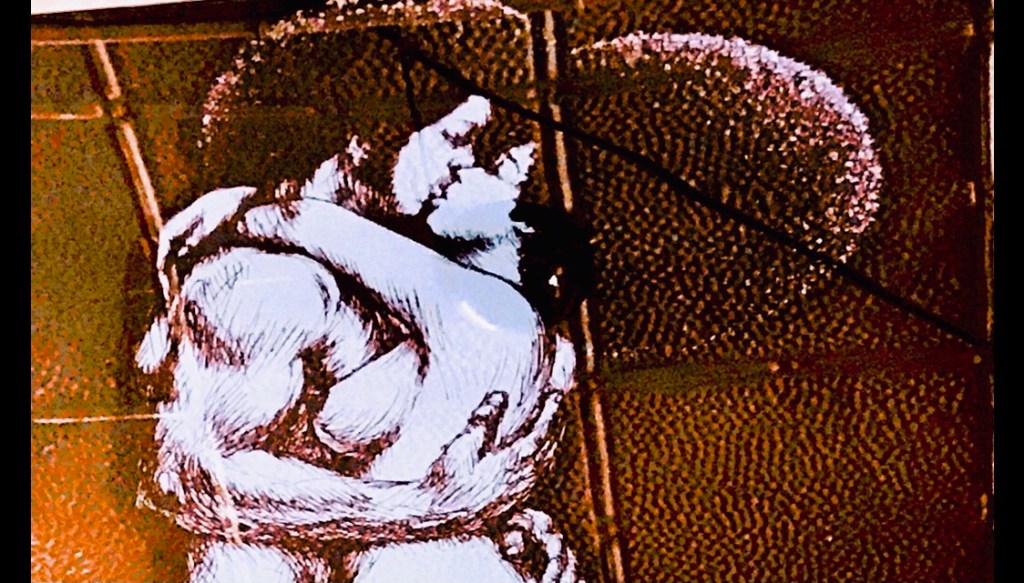 Love & Wisdom: Her Love & His&nbsp;Wisdom